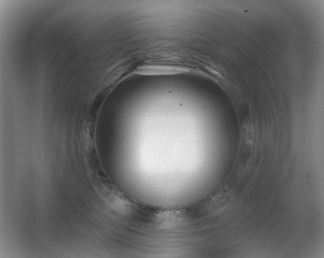 X0000067880422200604131307