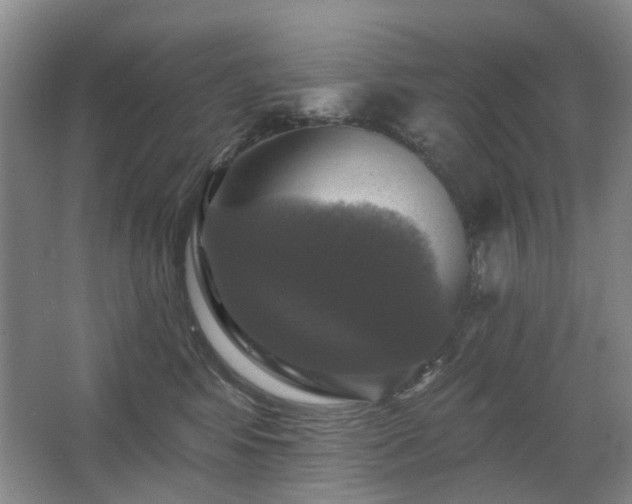 X0000067880424200604131307