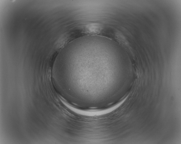 X0000067880425200604131307