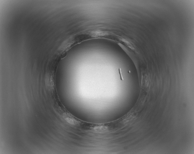 X0000067880426200604131307