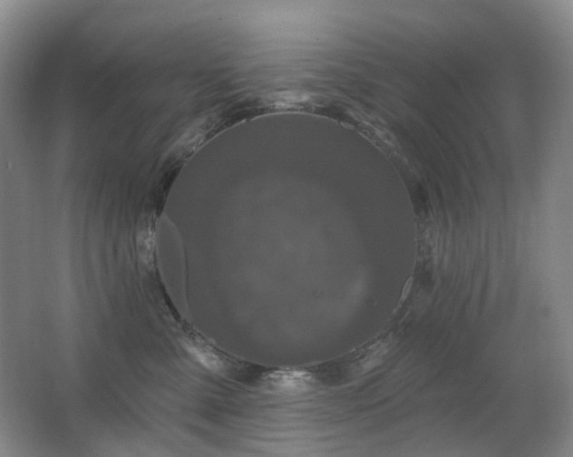 X0000067880427200604131307