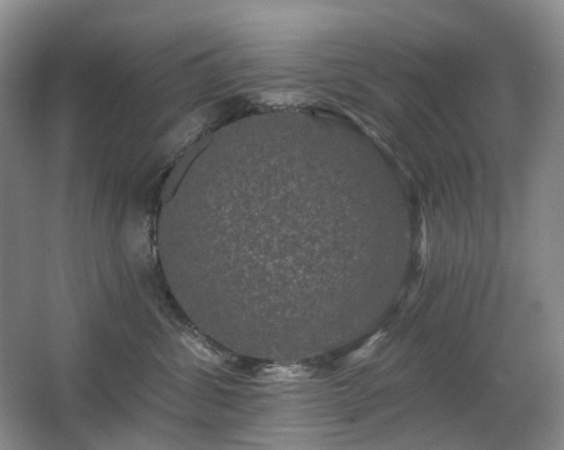 X0000067880428200604131307