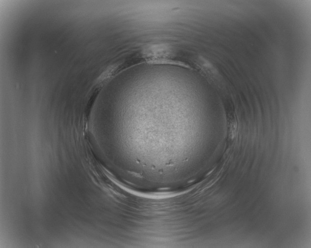 X0000067880429200604131307