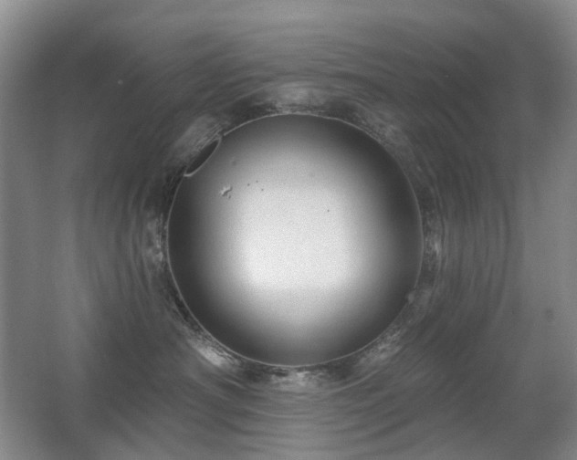 X0000067880430200604131307