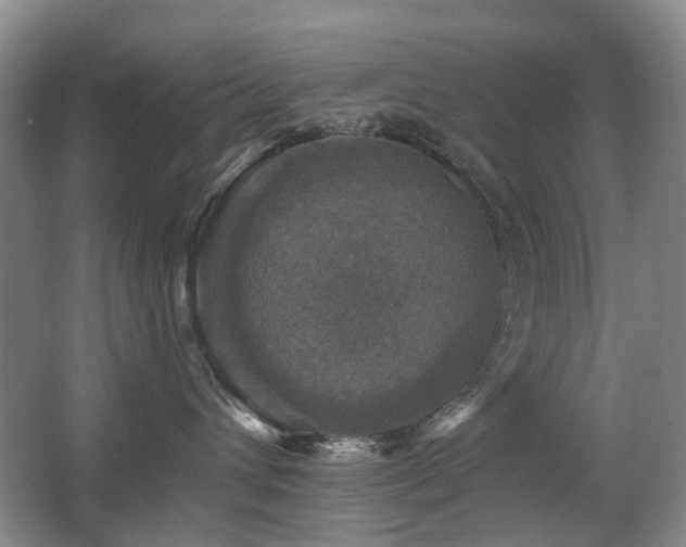 X0000067880432200604131307