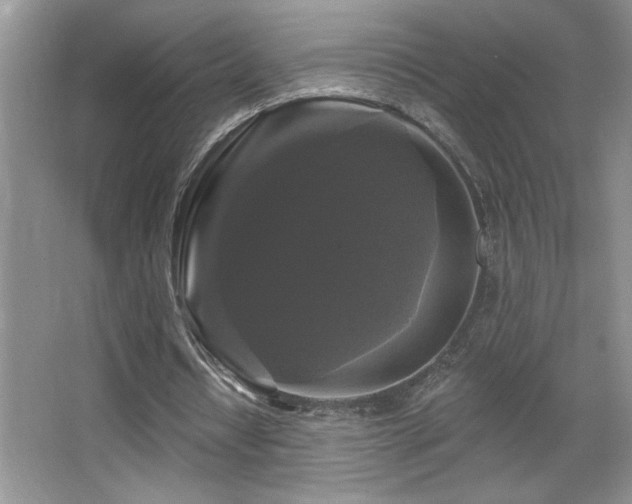 X0000067880434200604131306