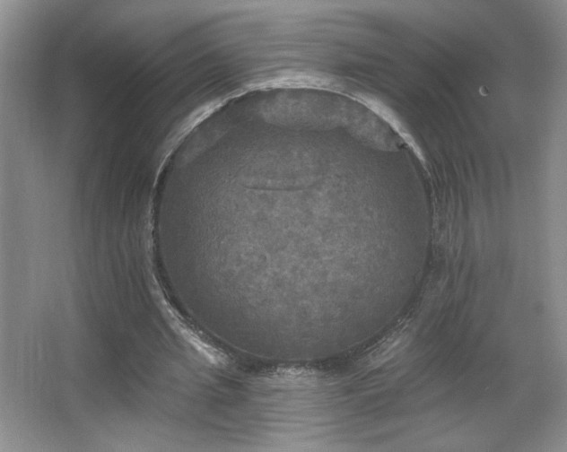 X0000067880437200604131306
