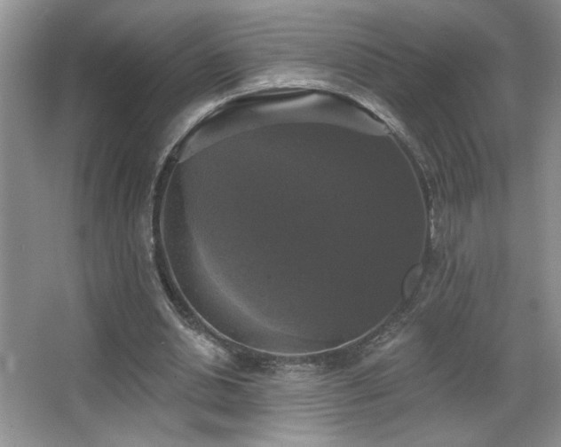 X0000067880438200604131306