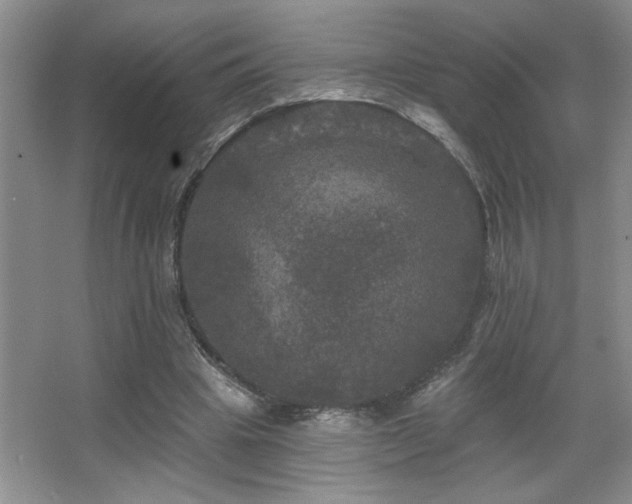 X0000067880441200604131306