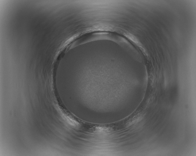 X0000067880442200604131306