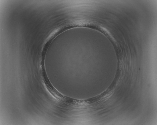X0000067880443200604131306