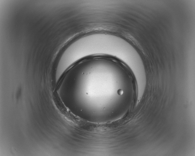 X0000067880444200604131306