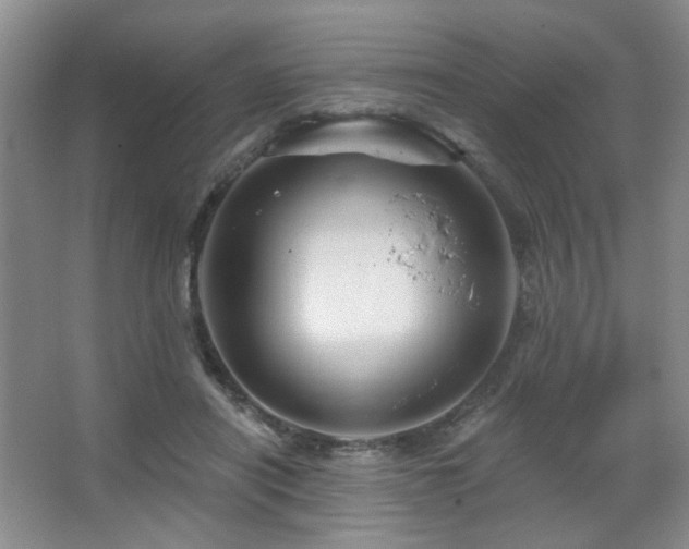 X0000067880454200604131307