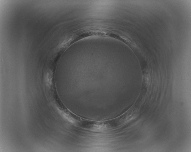 X0000067880458200604131307