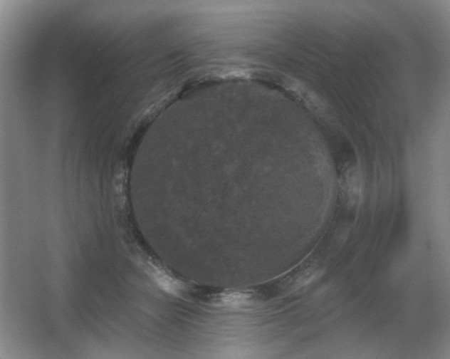 X0000067880462200604131307