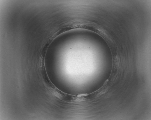 X0000067880463200604131307