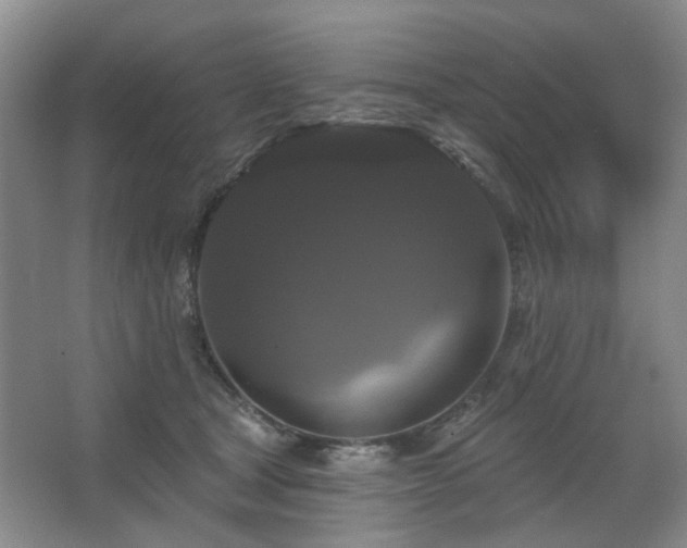 X0000067880465200604131307