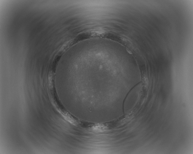 X0000067880468200604131307