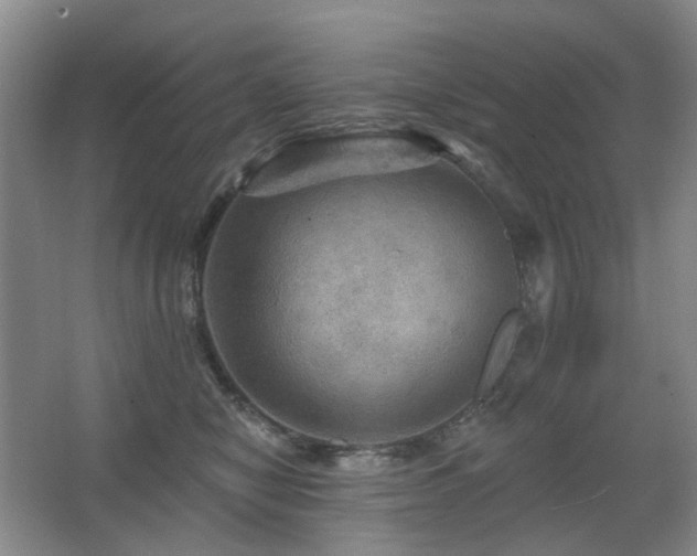 X0000067880470200604131307