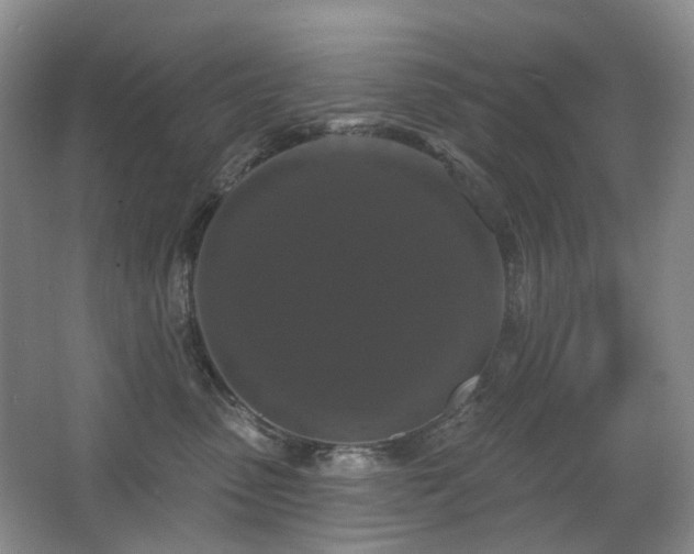X0000067880475200604131307
