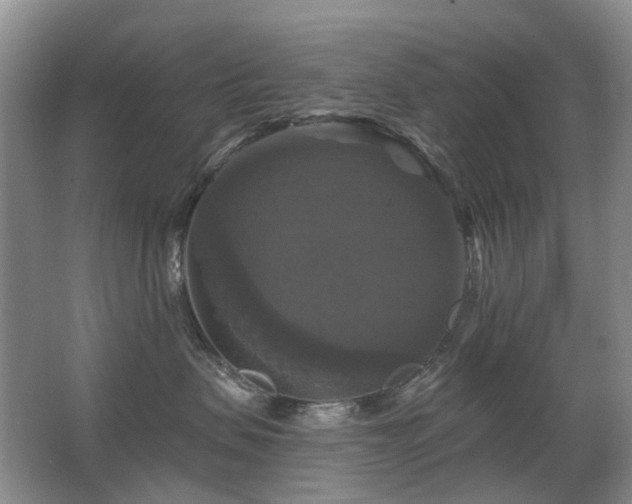 X0000067880479200604131307