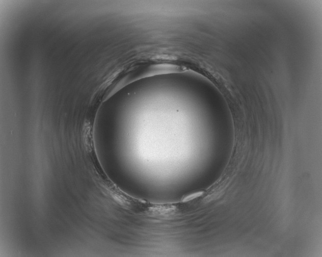 X0000067880480200604131307
