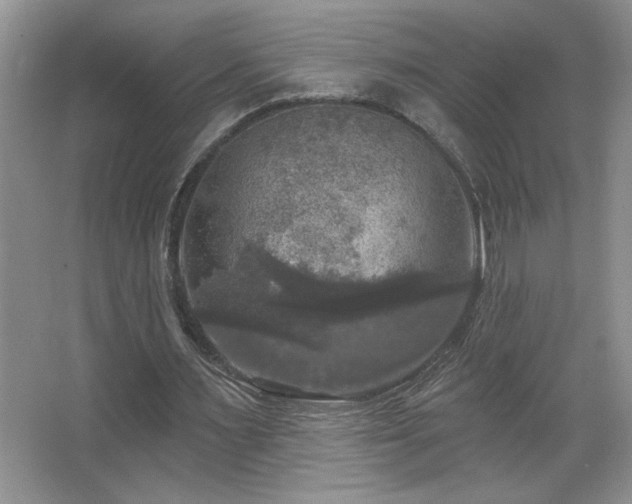 X0000067880483200604131306