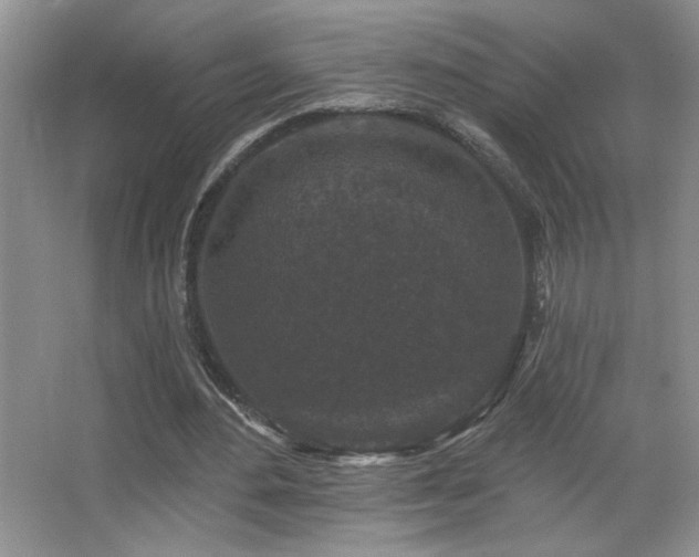 X0000067880484200604131306