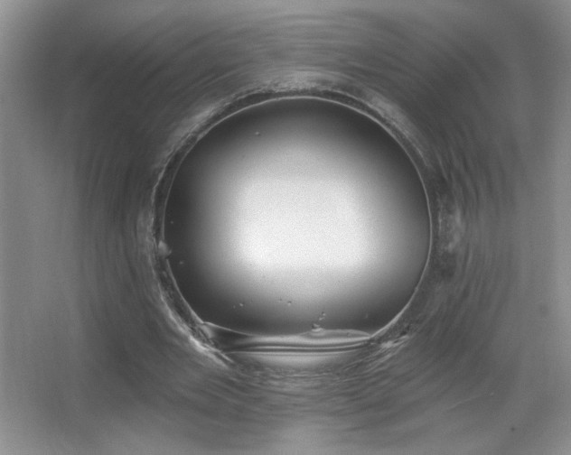 X0000067880485200604131306