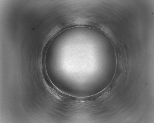 X0000067880486200604131306
