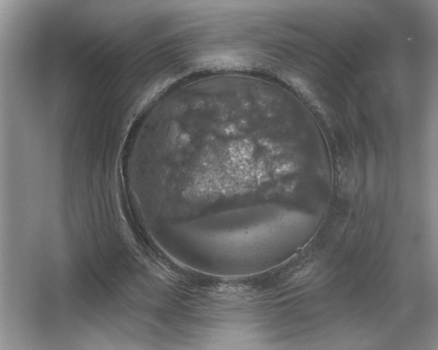X0000067880487200604131306