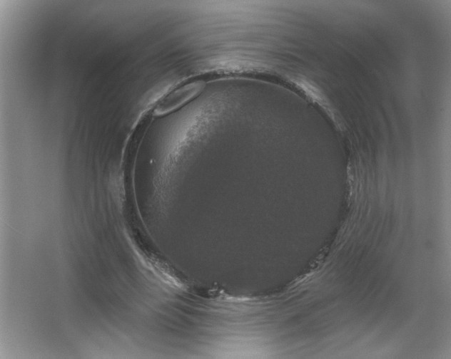 X0000067880488200604131306