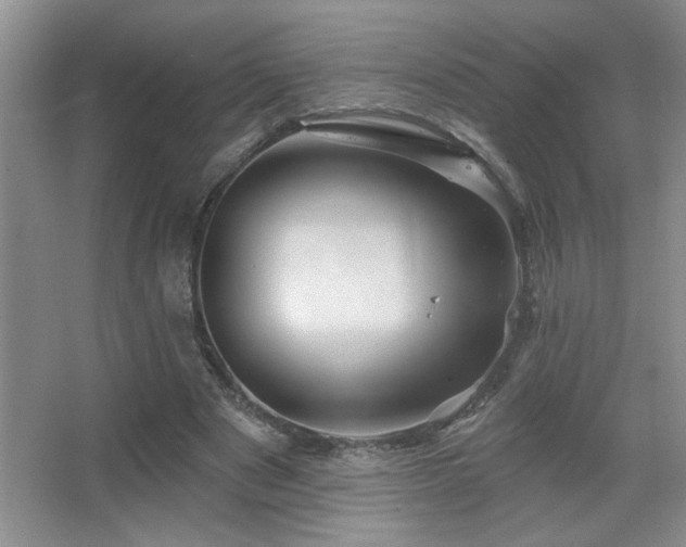 X0000067880489200604131306
