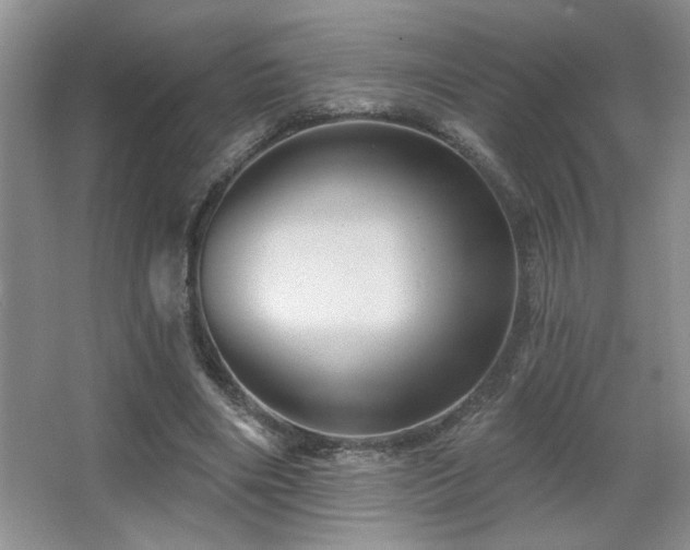 X0000067880490200604131306