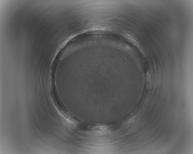 X0000067880492200604131306
