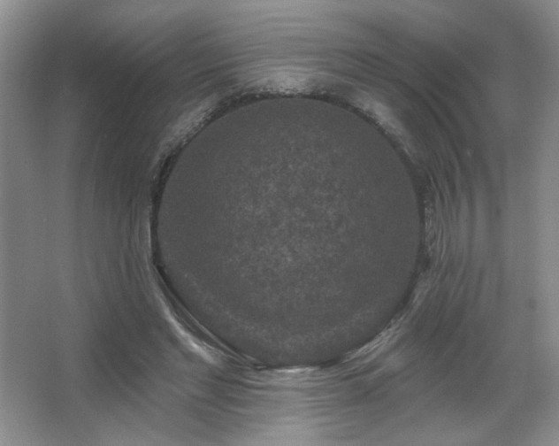 X0000067880493200604131306