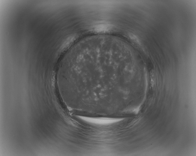 X0000067880495200604131306