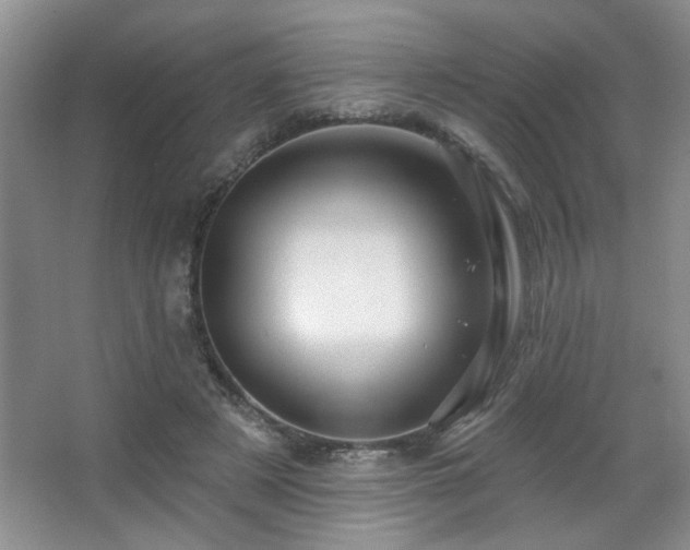 X0000067880497200604131306