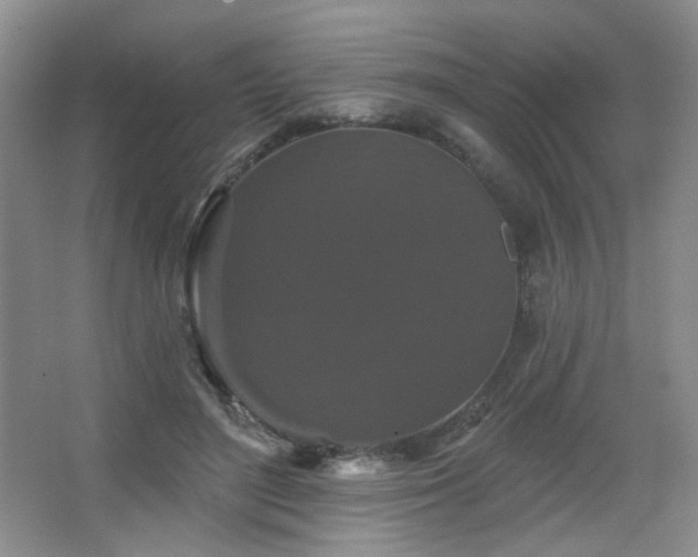 X0000067880500200604131306