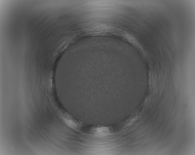 X0000067880501200604131306