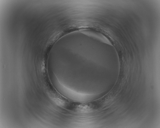 X0000067880502200604131306