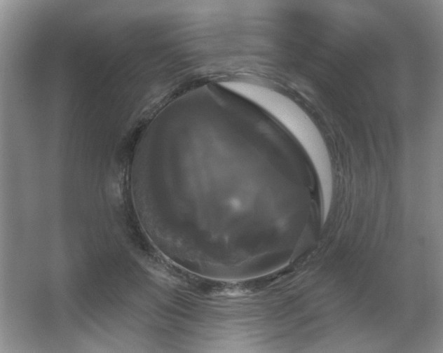 X0000067880503200604131306