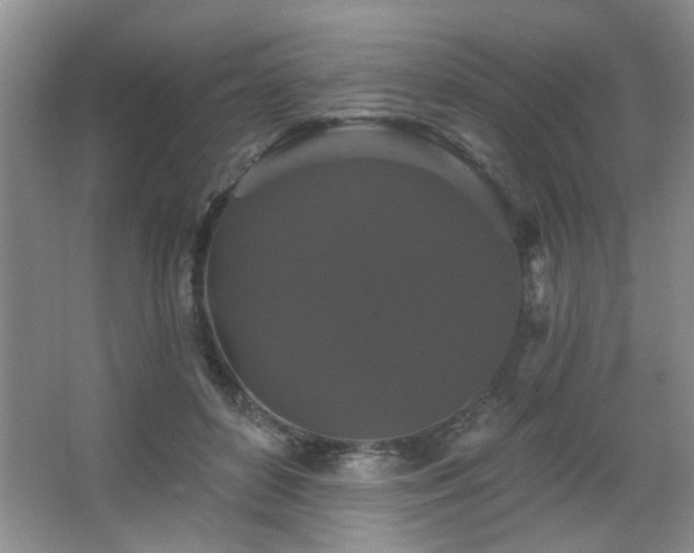 X0000067880504200604131306