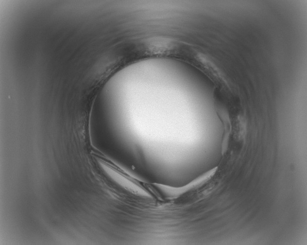 X0000067880505200604131306