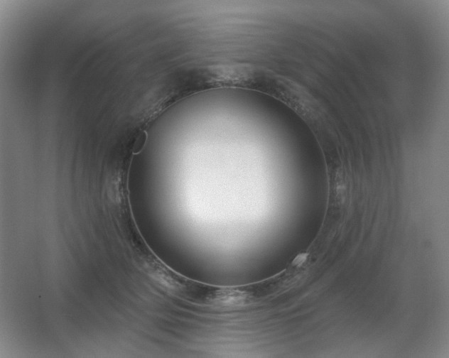 X0000067880514200604131306