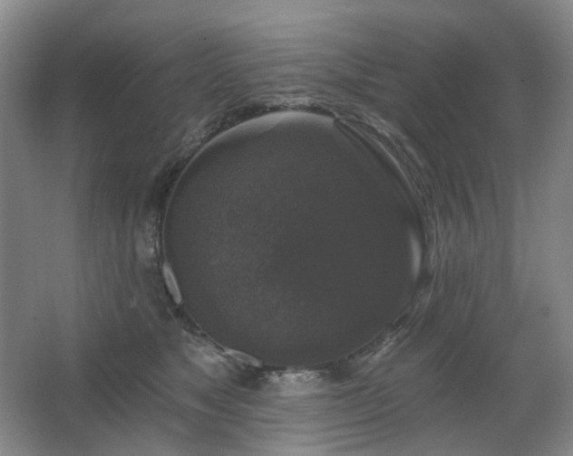X0000067880517200604131306