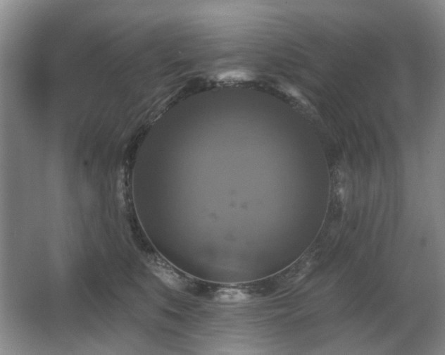 X0000067880519200604131306