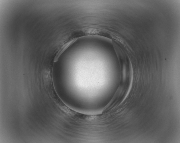 X0000067880521200604131306