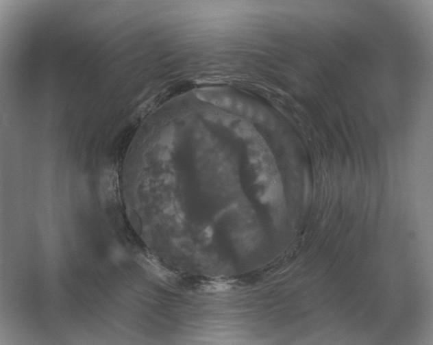 X0000067880523200604131306