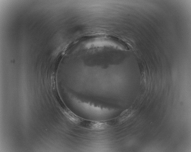 X0000067880527200604131305
